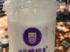 -一只酸奶牛(八一路店)