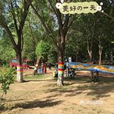 北京顺义区六一溜娃|户外游玩锻炼身体