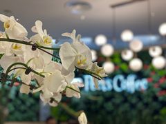 -Peet's Coffee皮爷咖啡(德基店)
