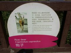 android_upload_pic-北京麋鹿生态实验中心