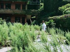 -大王村沙滩