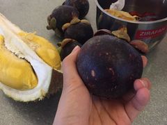 -都念榴莲·城市榴莲