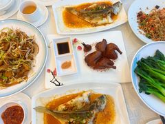 -顺峰(南二环店)