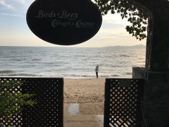 -卷心菜和避孕套餐厅(Pattaya)