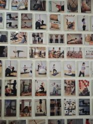 -Your Yoga Pilates·瑜伽普拉提习练室