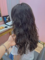 -YESIDO椰岛造型