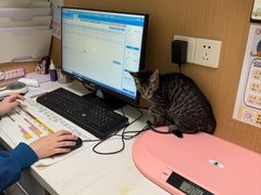 -瑞派康怡24h宠物医院·犬猫医疗中心·微创绝育(瑞景分院)