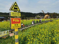 -红山村