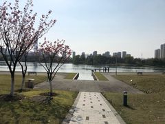 -白塘生态植物园