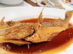 金蒜糖醋大黄鱼-四季民福烤鸭店(望京旺角店)