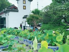 -无锡蠡湖国家湿地公园-蠡园