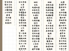 -上海市实验学校