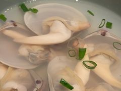 -浩运海鲜·16年专注青岛菜(石老人店)