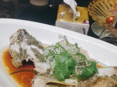 -丰收日·小海鲜·沪上家宴(顾村正大店)