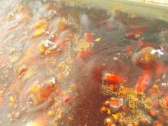 -小牛叔鲜切牛肉·火锅·烤肉自助(公济桥路店)
