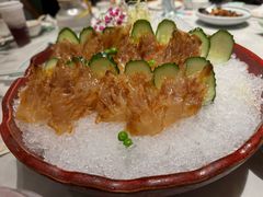冰镇海蜇头-蘭心·臻品(瑞虹太阳宫店)