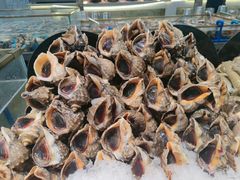 -半岛听涛蒸汽海鲜自助(K11店)