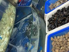 -渔家小院观海海肠捞饭地方菜(环海中路店)