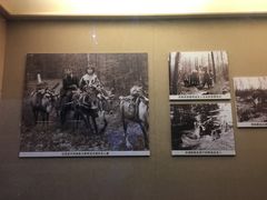 -呼伦贝尔民族博物馆