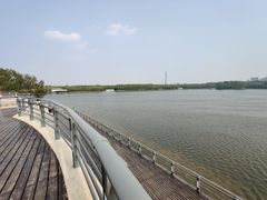 -大兴滨河森林公园