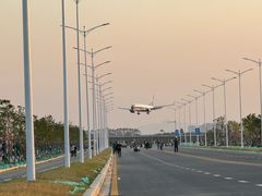 -日の船章鱼小丸子(骏壹万邦店)