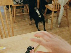 -柴の食堂·日式家庭料理·熊之肆(大学路店)