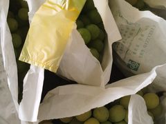 -马陆小张葡萄园农家乐