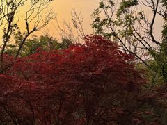 -七彩云南古滇温泉山庄