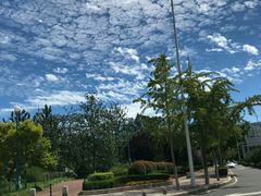 -青岛海滨风景区