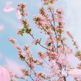 🌸随手拍，小区里的春天