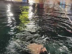 -江门古兜温泉小镇