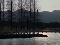 -东钱湖旅游度假区