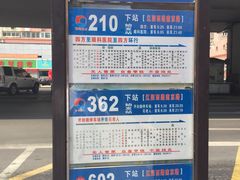 -枣庄辣子鸡(辽阳西路店)