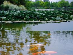 -云龙湖旅游景区
