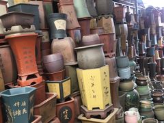 -桂林市花鸟市场