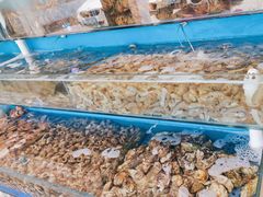 -港畔赶海蒸汽海鲜烧烤自助(仙螺岛店)