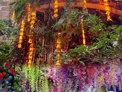 -正佳雨林生态植物园