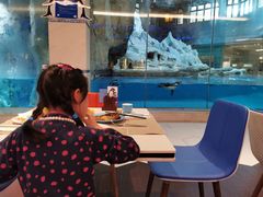 -帝企鹅自助餐厅•儿童岛•真企鹅(长隆企鹅酒店)