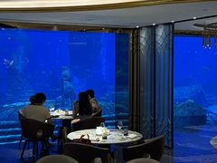-亚特兰蒂斯•OSSIANO奥西亚诺海底餐厅