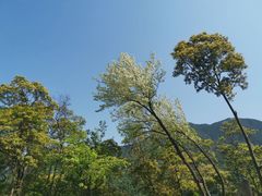 -梧桐山风景名胜区