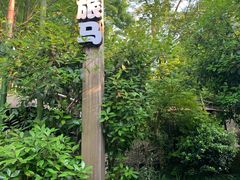 -旅马餐厅(茅家埠店)