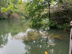 -白马涧龙池景区
