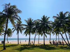 -海南清水湾莱佛士酒店