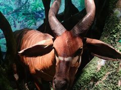 -浙江自然博物院(杭州馆)