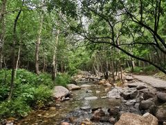 -玉渡山自然风景区