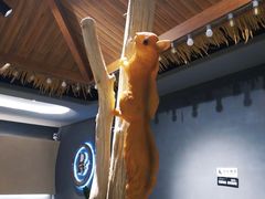 -半悦牛排(龙湖西宸天街店)