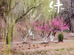 -堤角公园