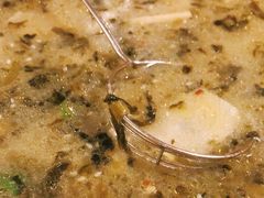 -熊猫川菜馆 panda chine