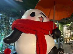 -轩客会(熊猫书店)