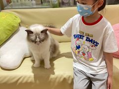 -1013 PET SHOP精品宠物商店(丁香店)